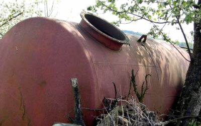 Lead Poisoning Prevention