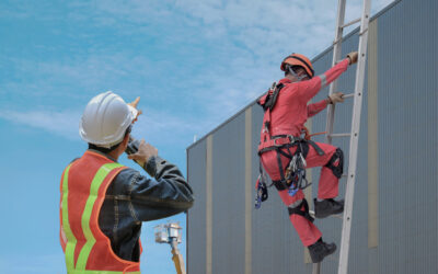 Ladder Safety Awareness