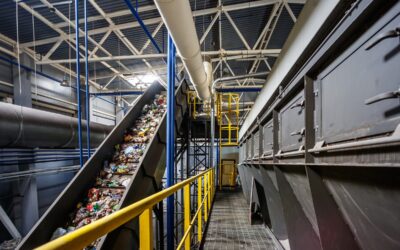 Conveyor Belt Safety